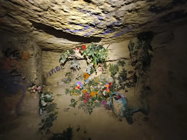 Composition de fleurs séchées accrochée à la paroi sous une voûte de calcaire